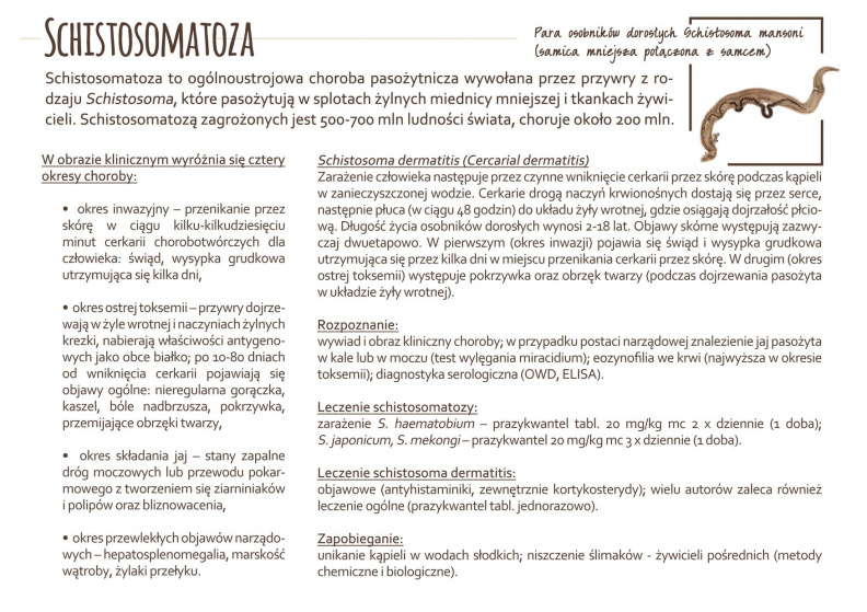 Schistosomatoza (2).jpg