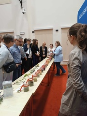 IMG 20241210 134800