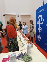IMG 20241210 140859