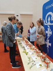 IMG 20241210 140945